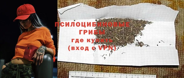 герыч Алексин